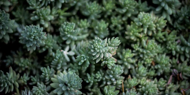 产后抑郁如何冲击婚姻？情感咨询与恋爱指导助新手父母重建亲密关系