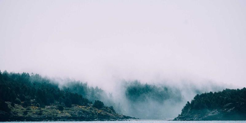 再婚家庭的情感咨询指南：化解前任影响与构建信任体系的婚姻修复之道