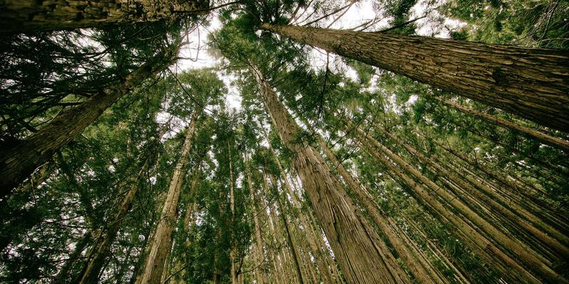 如何通过专业恋爱指导与婚姻修复服务，重燃长期关系中的情感火花