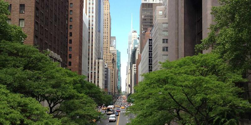 婚恋服务专家解析：中年婚姻危机中如何通过心理辅导实现婚姻修复