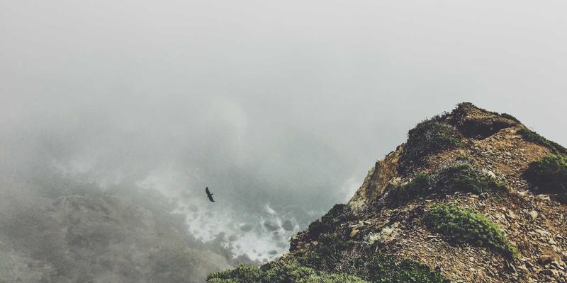 当爱成长：专业婚恋服务与心理辅导如何助力伴侣应对重大疾病的关系考验