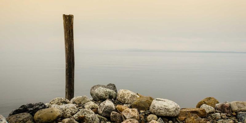 当爱成长：专业婚恋服务与恋爱指导如何为现代情感关系赋能