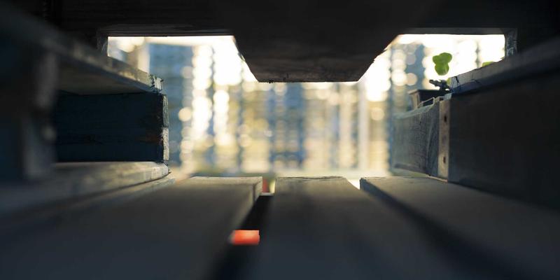 当爱成长：专业情感咨询如何修复异地恋婚姻，破解距离难题