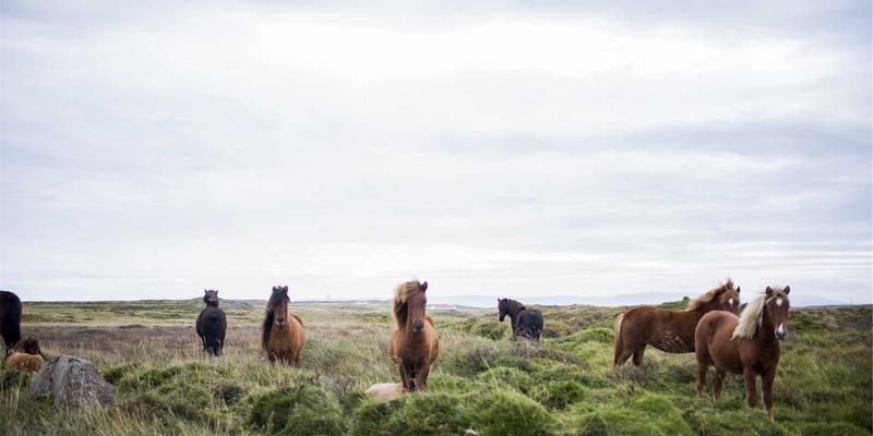 当爱成长：专业情感咨询如何帮助伴侣化解异地恋的信任与沟通危机