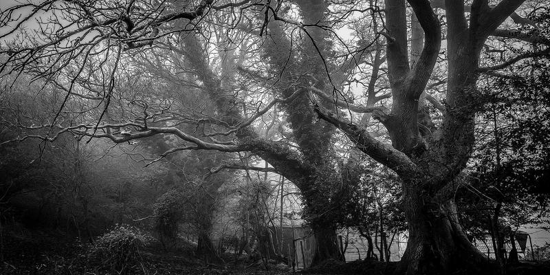 当爱成长：从恋爱指导到婚姻修复的情感蜕变之旅