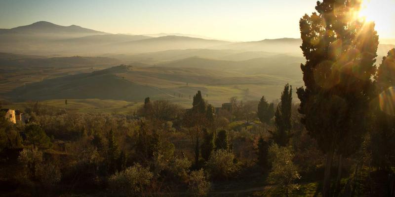 当爱成长：婚姻修复与恋爱指导的情感蜕变之旅