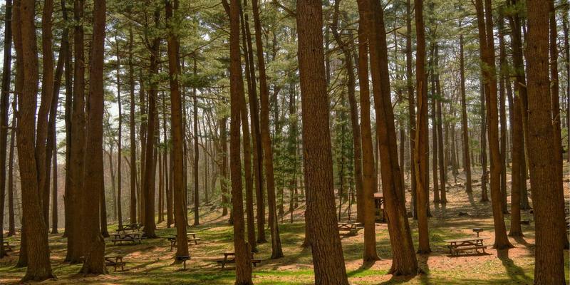 当爱成长：心理辅导如何为跨国婚姻搭建沟通桥梁