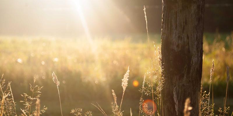 当爱成长:情感咨询与心理辅导如何重塑亲密关系