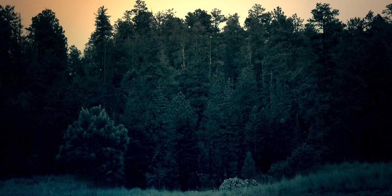 当爱成长：情感咨询如何用心理辅导帮助伴侣度过职业转型期的关系动荡