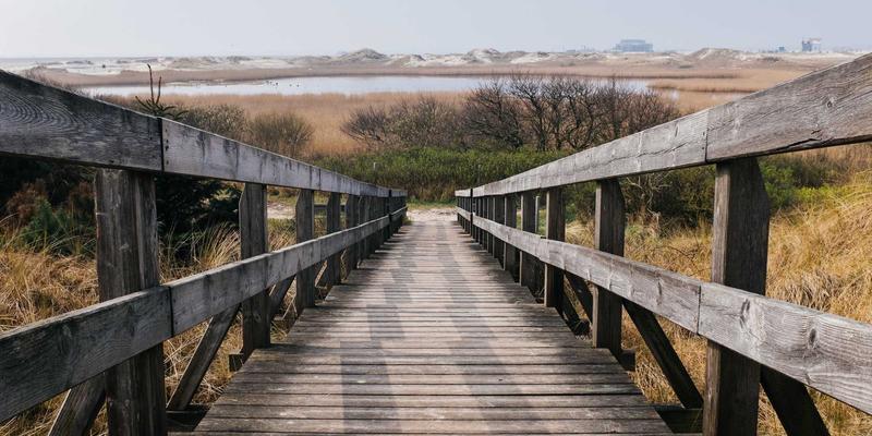 当爱成长：情感咨询师如何破解伴侣性亲密困境，重建深度沟通与和谐