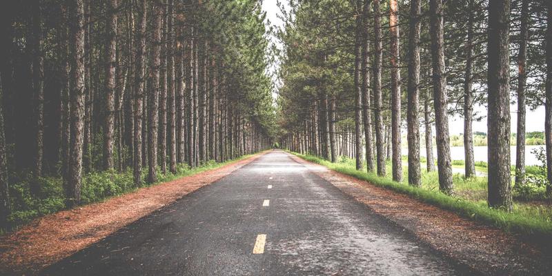 当爱成长：情感咨询师的异地恋沟通策略与恋爱指导