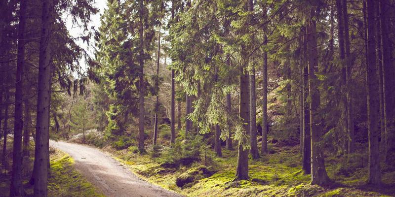 当爱成长：数字时代的情感疏离与婚姻修复指南