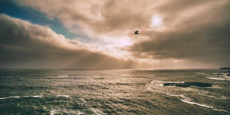 当爱成长：解析当代婚恋服务与恋爱指导的三大核心趋势