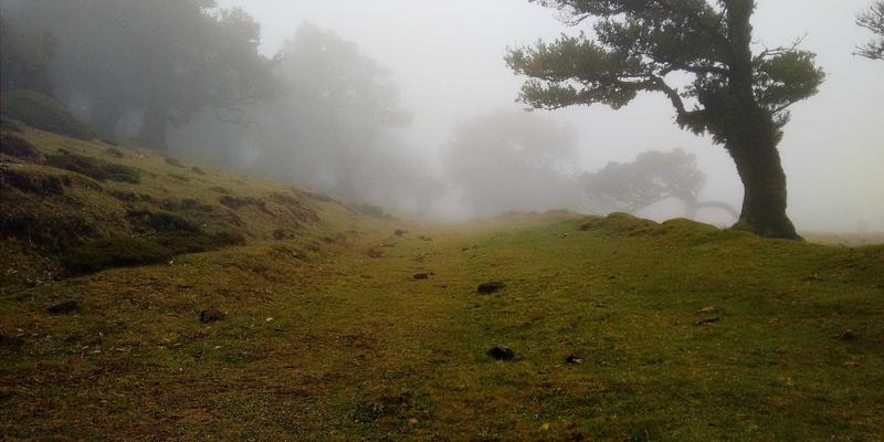 当爱成长：退休期夫妻如何通过情感咨询重塑关系，实现角色转换与共同生活重构