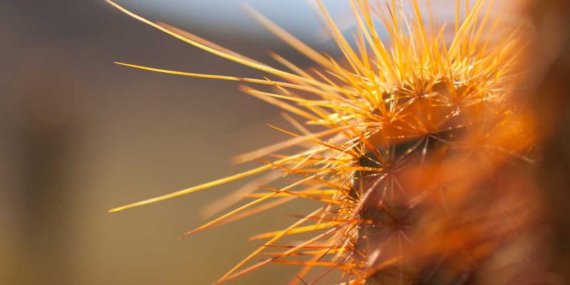 恋爱指导与婚恋服务中的关键技巧：用非暴力沟通打破伴侣间的指责防御循环