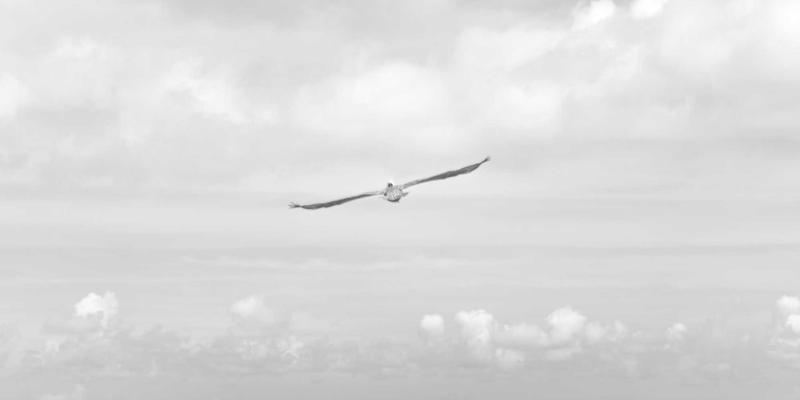 情感咨询36：当爱成长，婚姻修复的智慧与路径