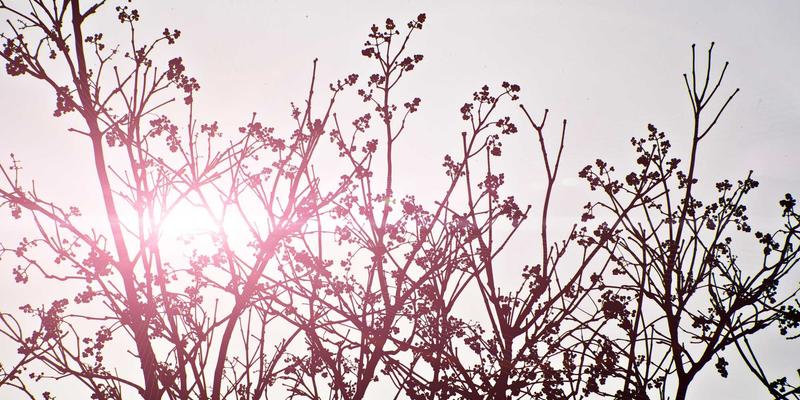 情感咨询与心理辅导如何帮助回避型依恋者修复婚姻，走向安全型依恋