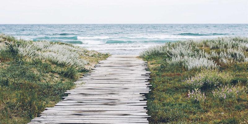 数字时代的婚姻信任危机：社交媒体如何侵蚀亲密关系与专业心理辅导对策